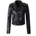 Shelly | Cropped Belted Moto Jacket